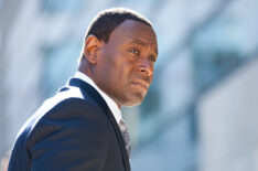 David Harewood as David Estes in Homeland