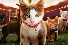 Meet the Cat-letes of Hallmark Channel's Kitten Bowl VII (PHOTOS)