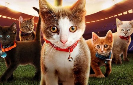 Kitten Bowl 2020 Hallmark