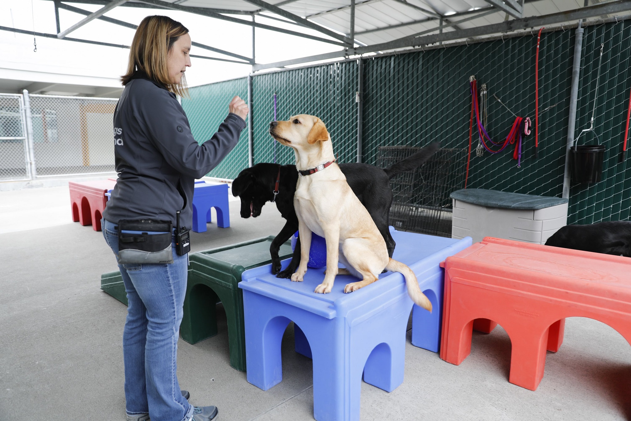 'Pick of the Litter' Sneak Peek Puppy Raisers Check on Their Progress