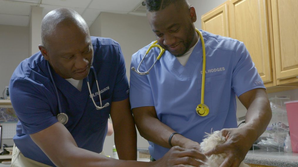 NAT GEO WILD CRITTER FIXERS COTRY VETS DR TERRENCE FERGUSON DR VERNARD HODGES SHIH TZU