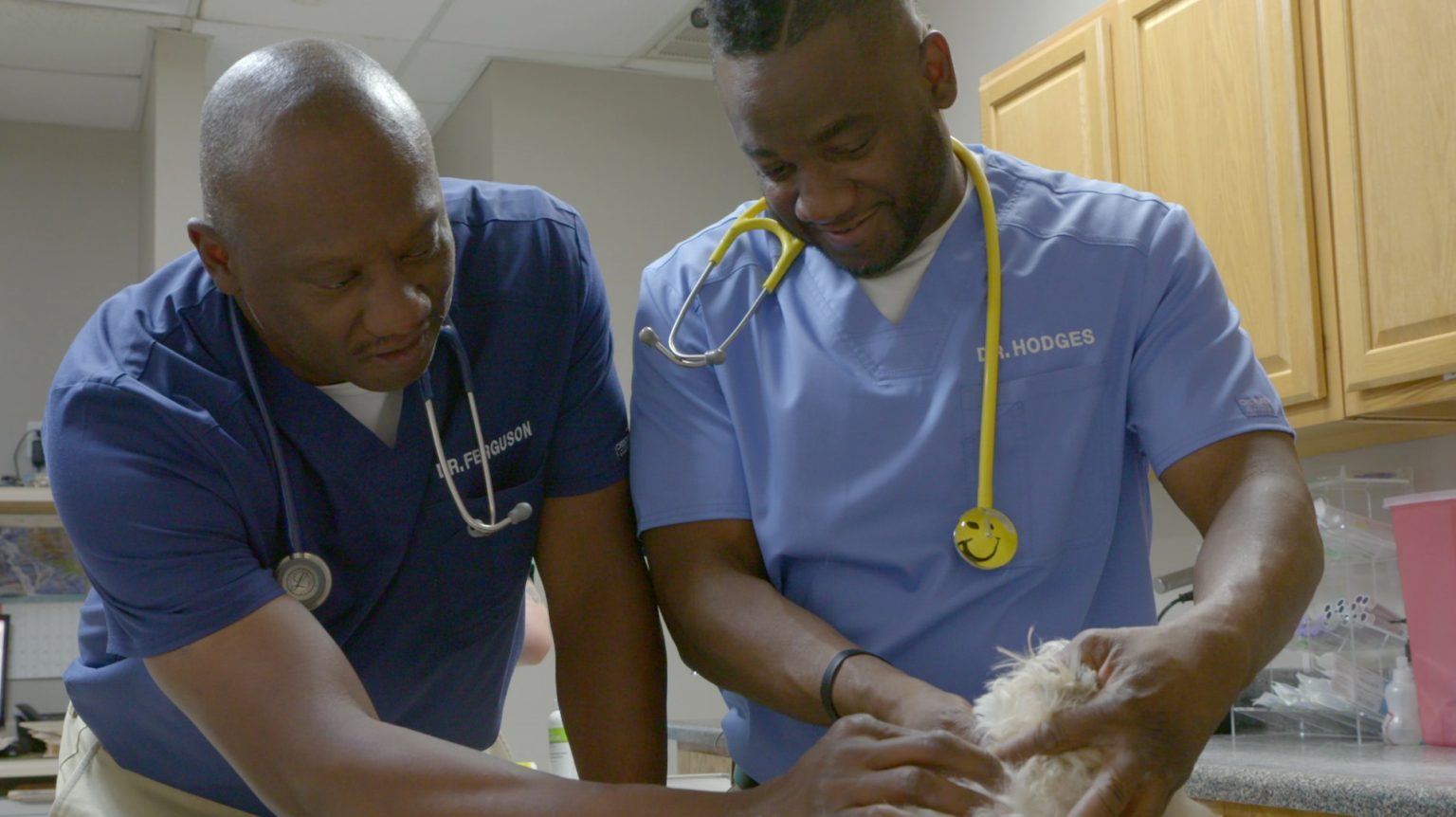 Sneak Peek at Nat Geo WILD's 'Critter Fixers Country Vets' (VIDEO)