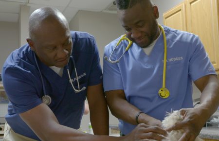 NAT GEO WILD CRITTER FIXERS COTRY VETS DR TERRENCE FERGUSON DR VERNARD HODGES SHIH TZU