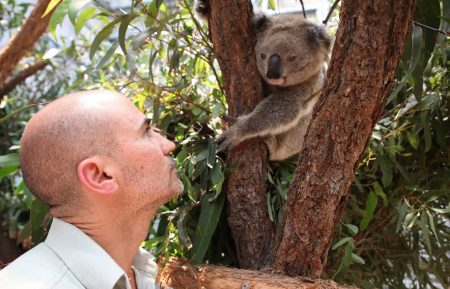 NAT GEOWILD SECRETS OF THEZOO DOWN UNDER NICK DE VOS RESCUED KOALA FROM BRUSHFIRES
