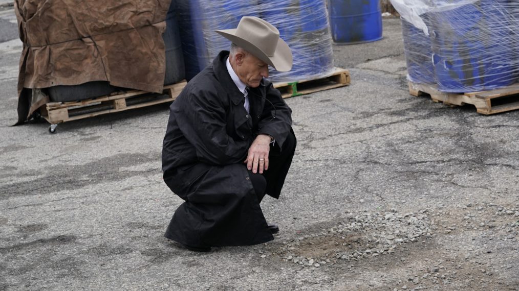 Lyle Lovett as Texas Ranger Waylon Gates in Blue Bloods - Season 10, Episode 14