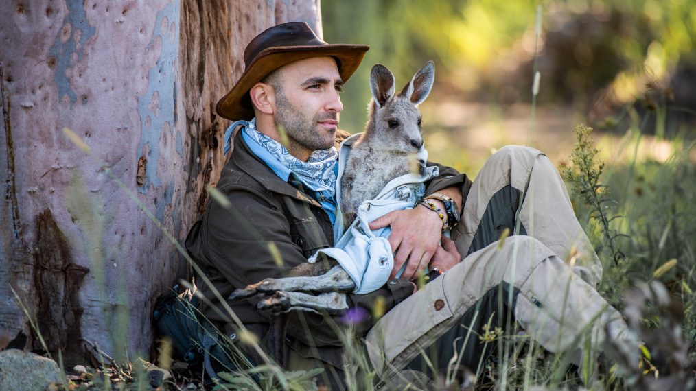 COYOTE PETERSON BRAVE THE WILD KANGAROO ANIMAL PLANET