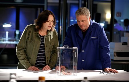 CSI: Crime Scene Investigation - Jorja Fox and William Petersen