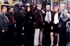 Where Are the Stars of 'NYPD Blue' Now? (PHOTOS)