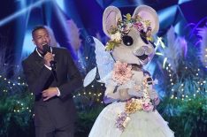 Who Are the 'The Masked Singer' Season 3 Contestants? Best Guesses & Reveals So Far