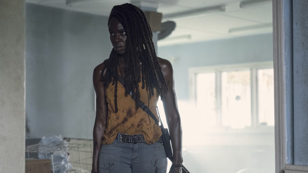 Danai Gurira as Michonne