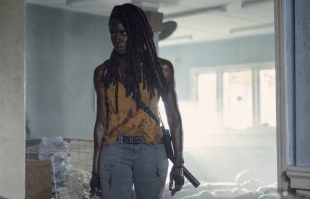 Danai Gurira as Michonne