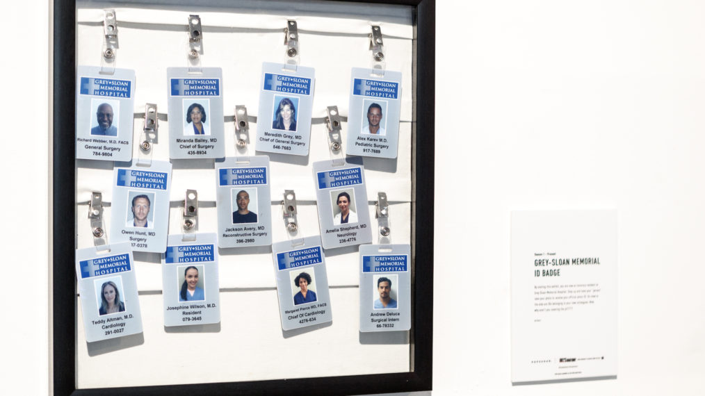 Grey's Anatomy Facts ID Badges