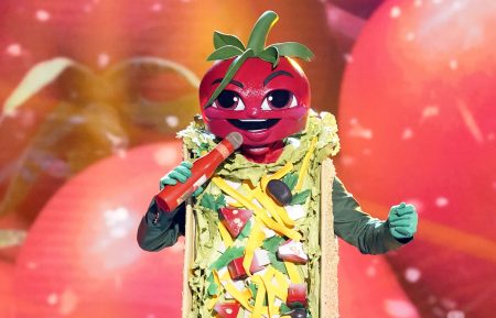 The Masked Singer Taco Unmasked Tom Bergeron