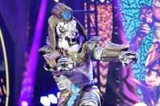 6 Reasons 'The Masked Singer's White Tiger Is Probably This Super Bowl Champ