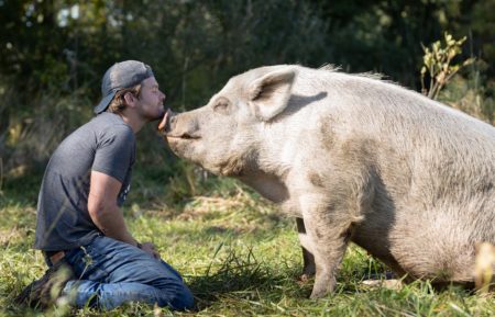 SAVED BY THE BARN DAN MCKERNAN WITH PIG