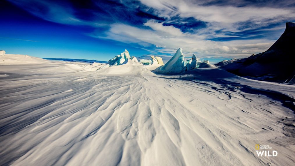 Nat Geo Wild Antarctica