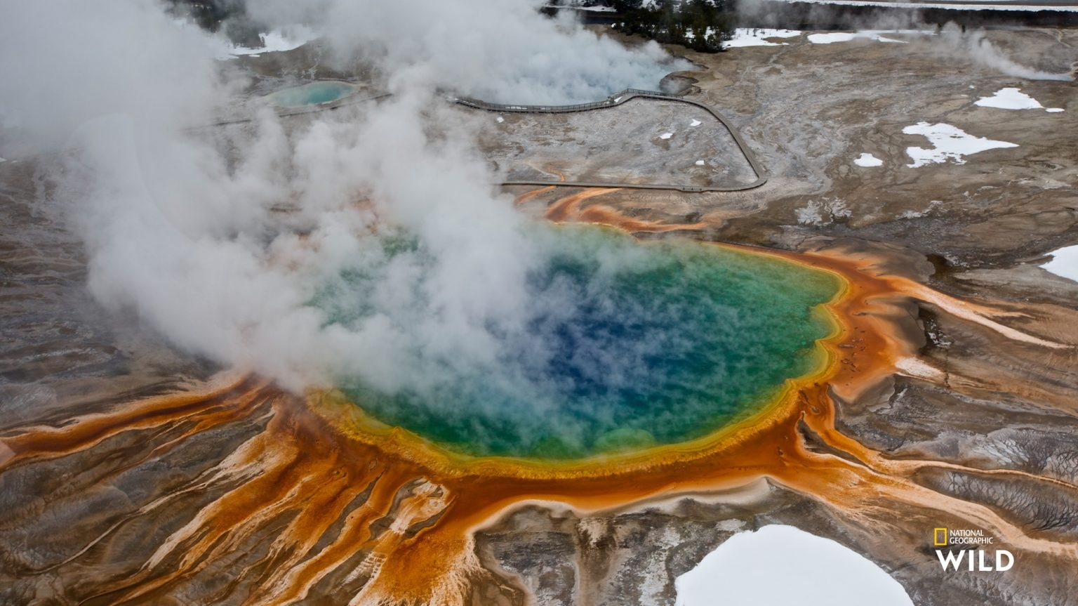 Nat Geo WILD Is Bringing Viewers Around the World With Special