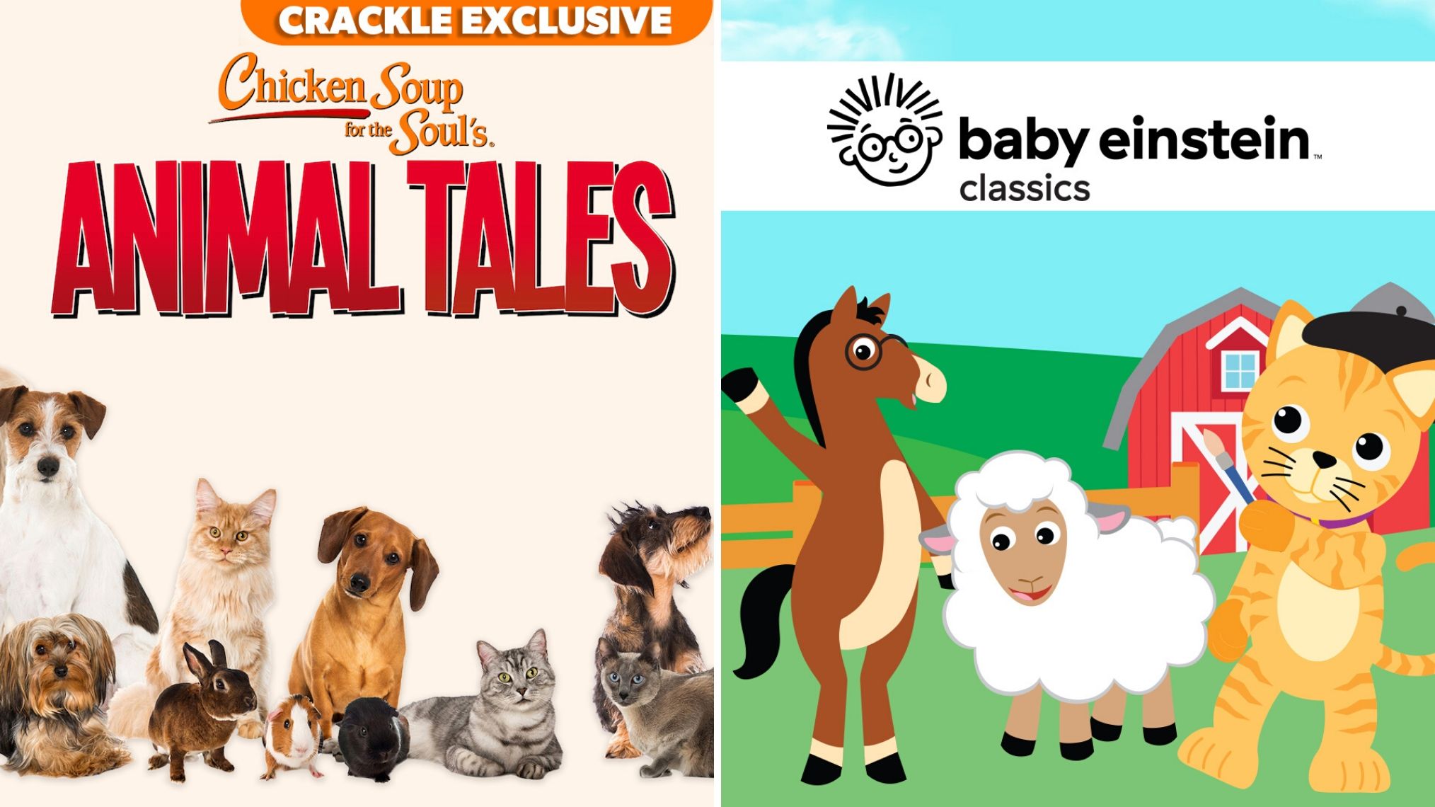 Animal Tales Baby Einstein Homeschool Channel Crackle