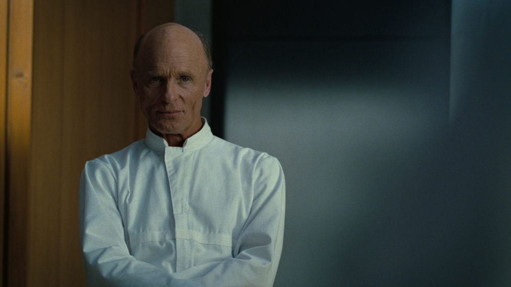 Ed Harris Westworld