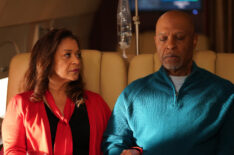 Grey's Anatomy Season 16 - Debbie Allen as Catherine and James Pickens Jr. as Richard