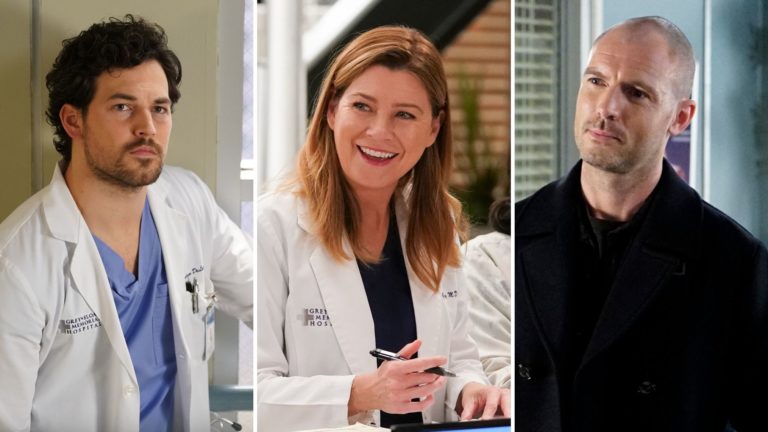 'Grey's Anatomy's Love Triangle: Do You Want Meredith With DeLuca or ...