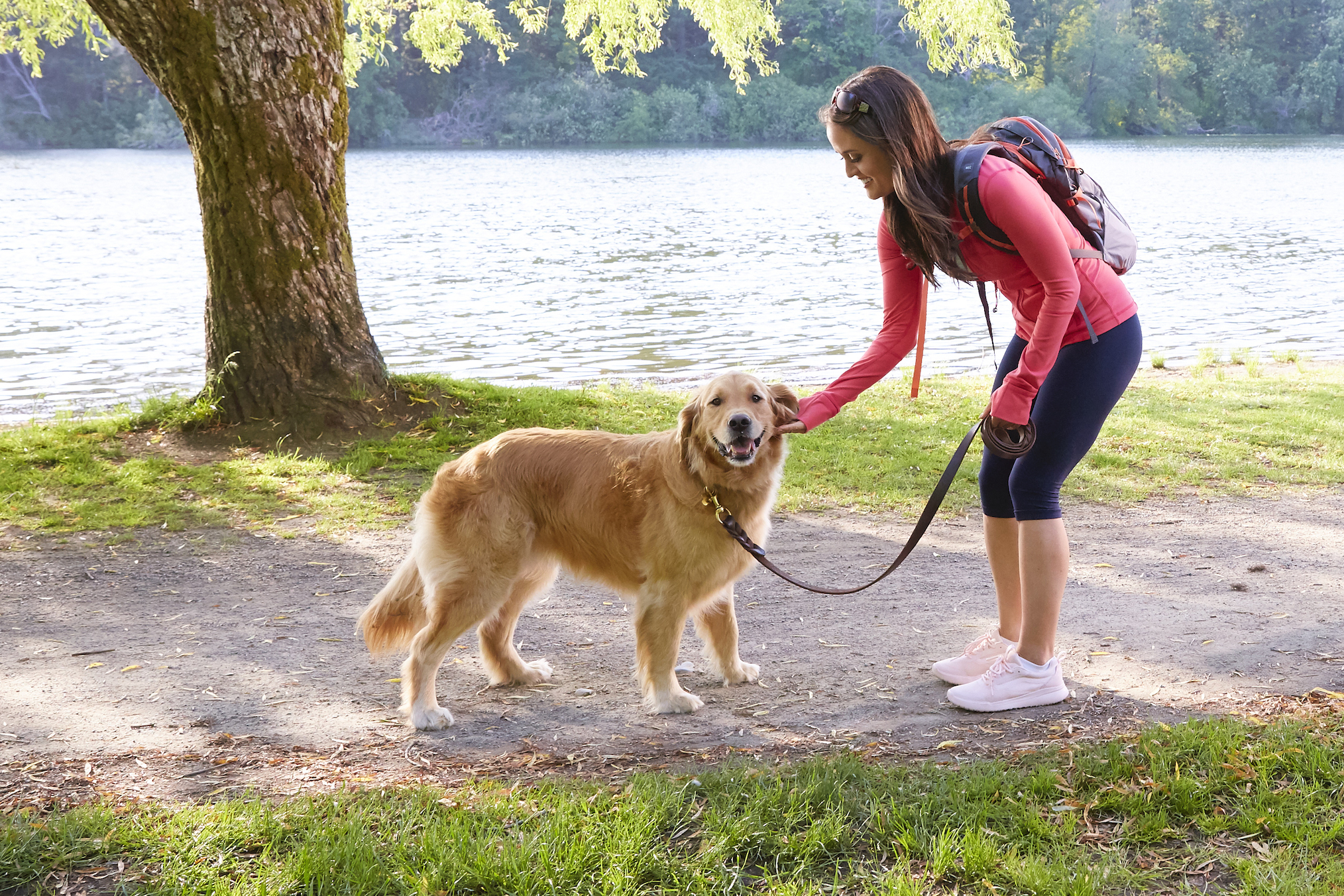 Love and Sunshine Hallmark Danica McKellar