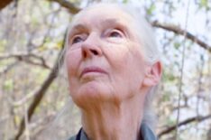 Jane Goodall outdoors in 'Jane Goodall: The Hope'
