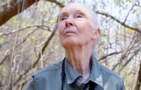 Jane Goodall outdoors in 'Jane Goodall: The Hope'