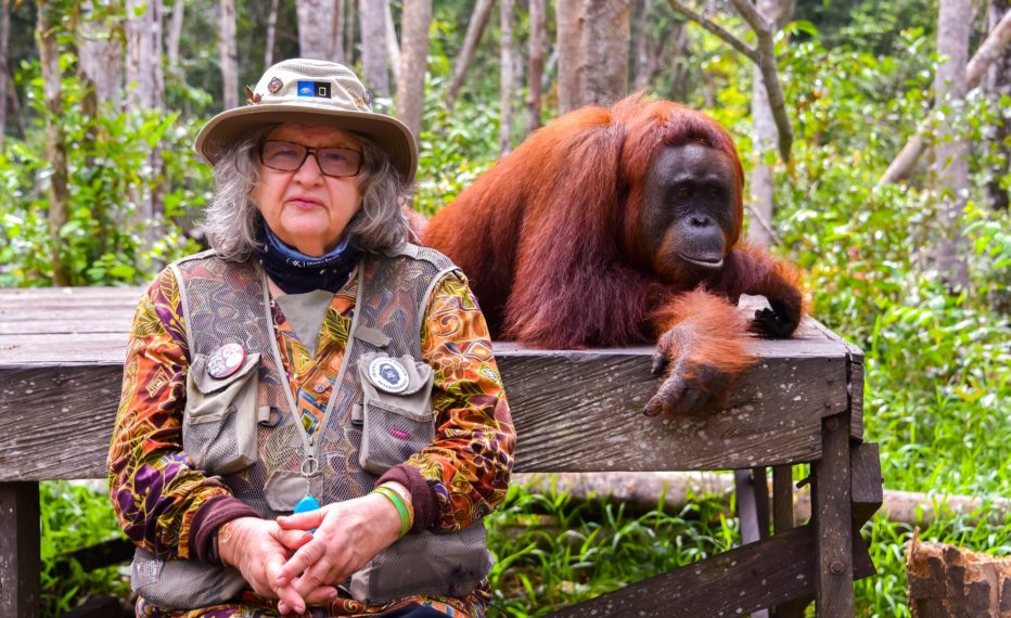 SHE WALKS WITH APES BIRUTE GALDIKAS WITH ORANGUTAN BBC AMERICA