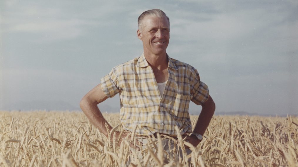 THE MAN WHO TRIED TO FEED THE WORLD NORMAN BORLAUG WHEATFIELD