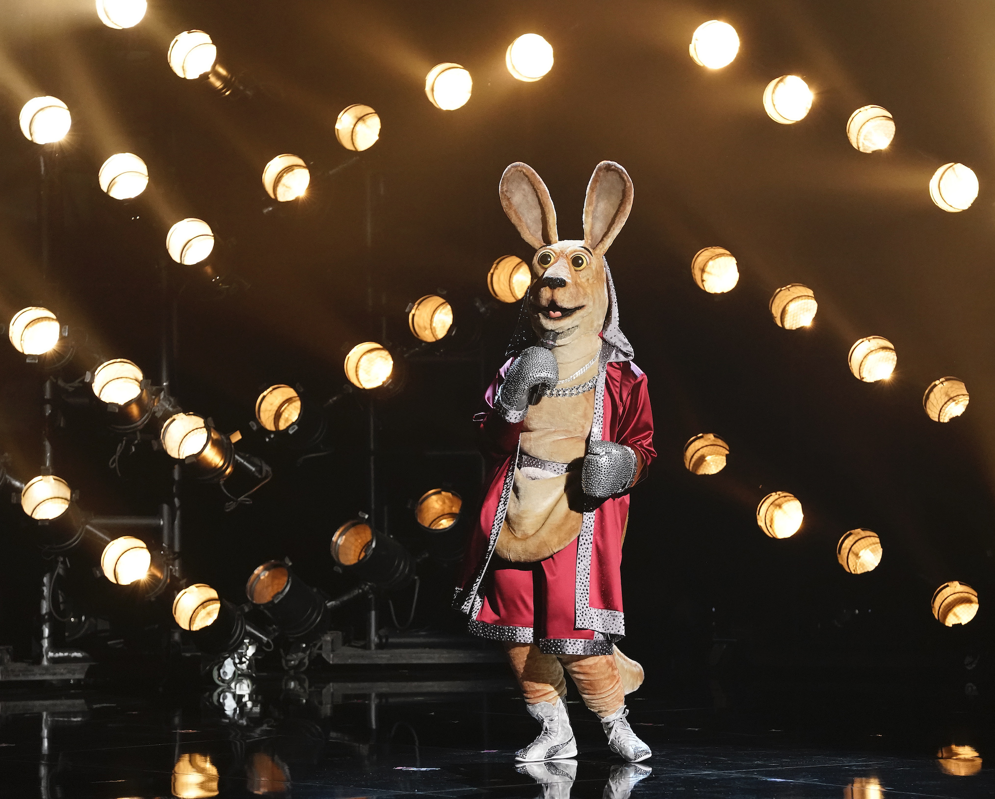 Kangaroo The Masked Singer Season 3 Episode 2