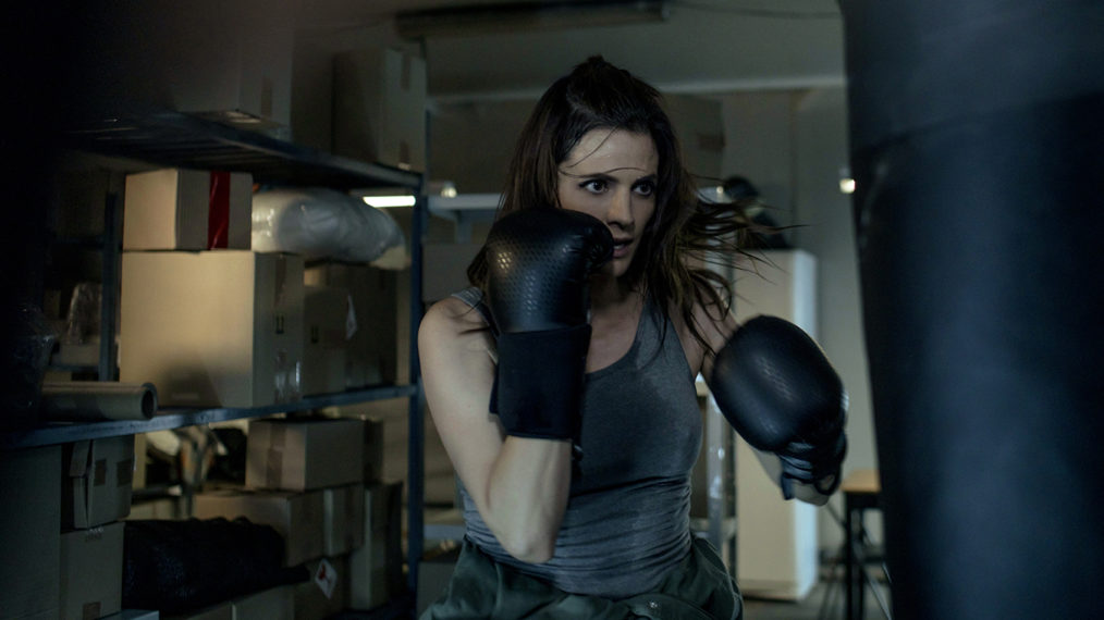 Stana Katic boxing in Absentia