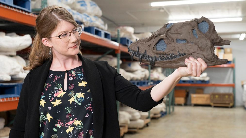 PREHISTORIC ROAD TRIP EMILY GRASLIE FOSSILS