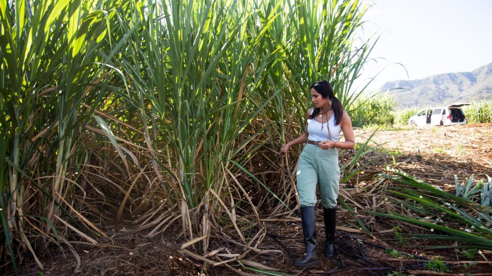 Taste the Nation, Padma Lakshmi