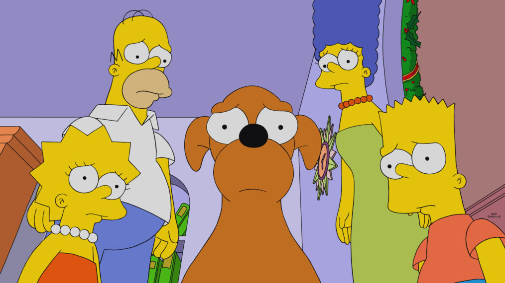 The Simpsons Family Cast Fox