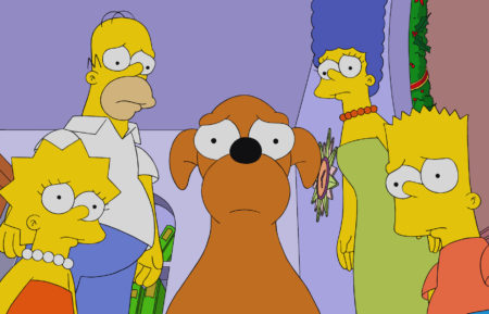 The Simpsons Family Cast Fox