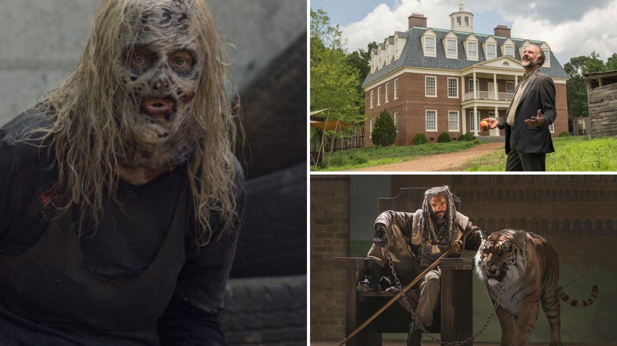 The Walking Dead Groups Friends Enemies