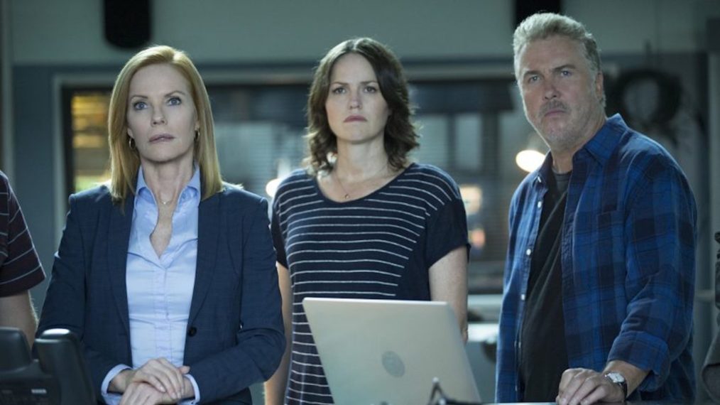 CSI Series Finale Cast