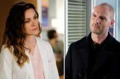 'Grey's Anatomy' Ups Richard Flood & 1 More to Series Regular, 'Station 19' Adds Stefania Spampinato