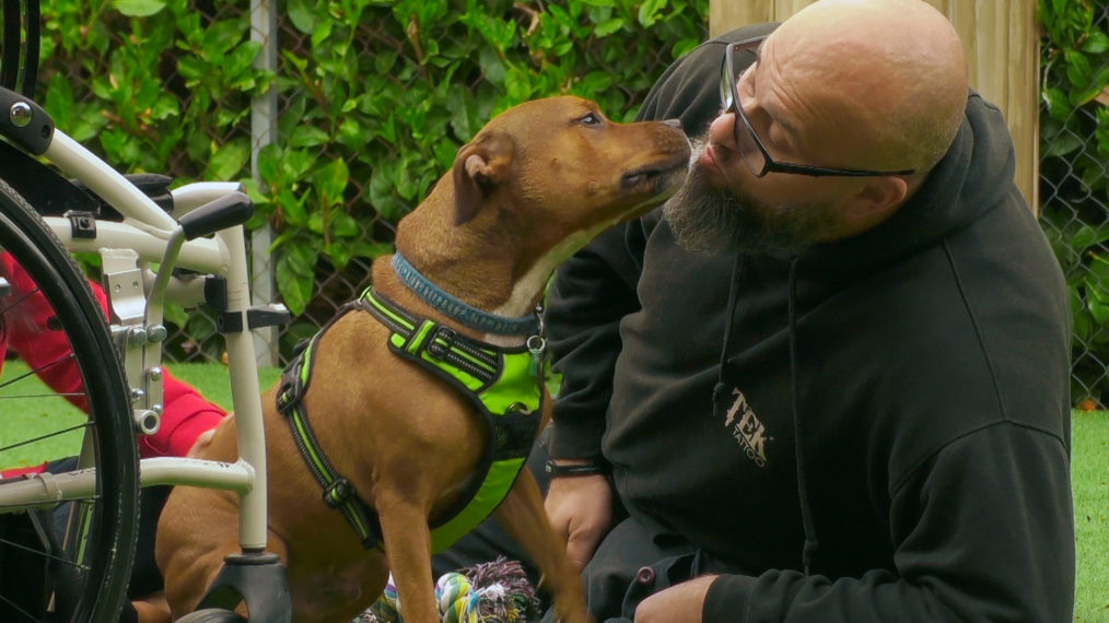 Paws What You're Doing & Watch the Trailer for 'The Dog House UK' (VIDEO)