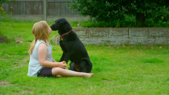 Paws What You're Doing & Watch the Trailer for 'The Dog House: UK' (VIDEO)