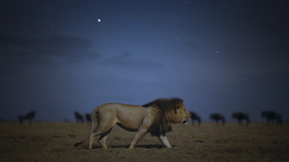 la terre la nuit en couleur 