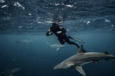 'Extinct or Alive's Forrest Galante Previews the Dives of His Shark Week Special