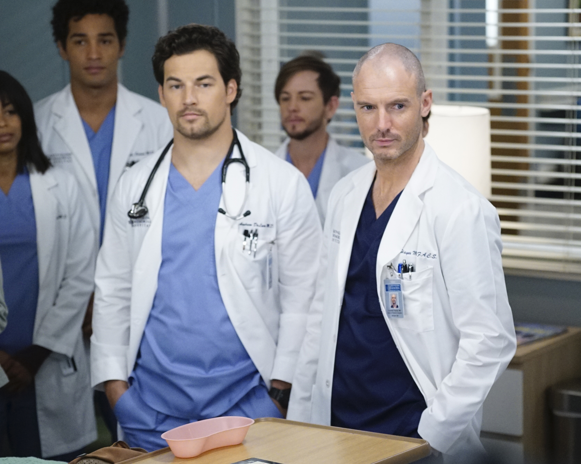 Giacomo Gianniotti Richard Flood Grey's Anatomy DeLuca Hayes