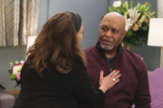 Grey's Anatomy Storylines Time Jump Richard Catherine Relationship Future