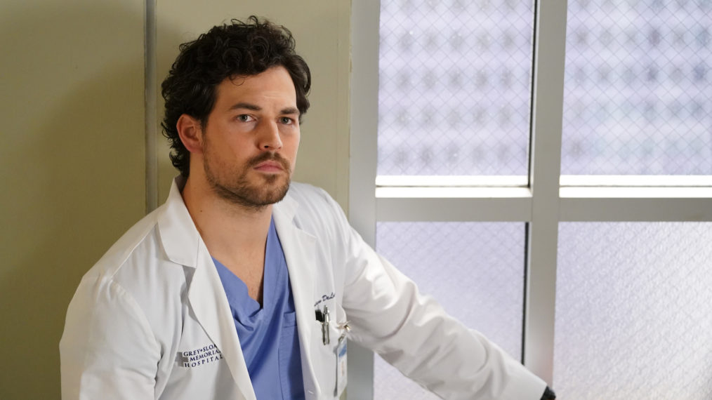 Grey's Anatomy Storylines Time Jump DeLuca Mental Health