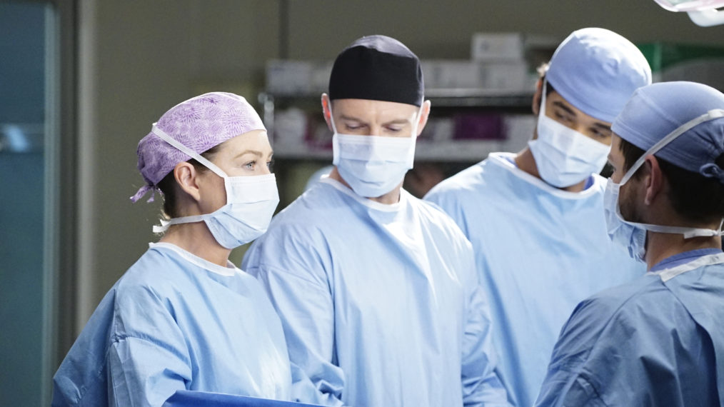 Ellen Pompeo Grey's Anatomy Meredith Grey Mask