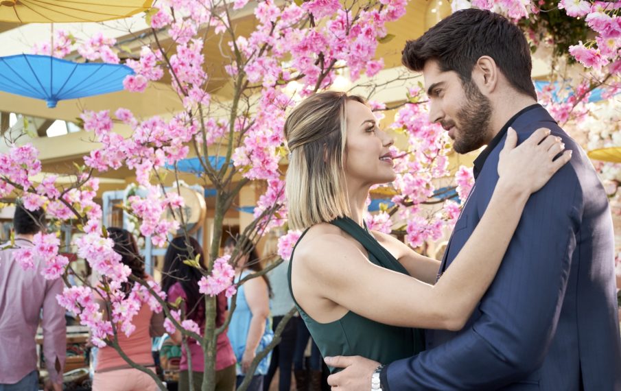 HALLMARK MOVIES NOW A BRUSH WITH LOVE ARIELLE KEBBEL NICK BATEMAN