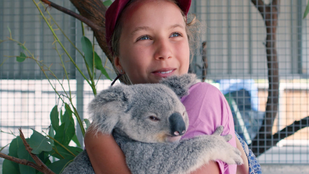 Izzy Bee Izzy's Koala World Preview