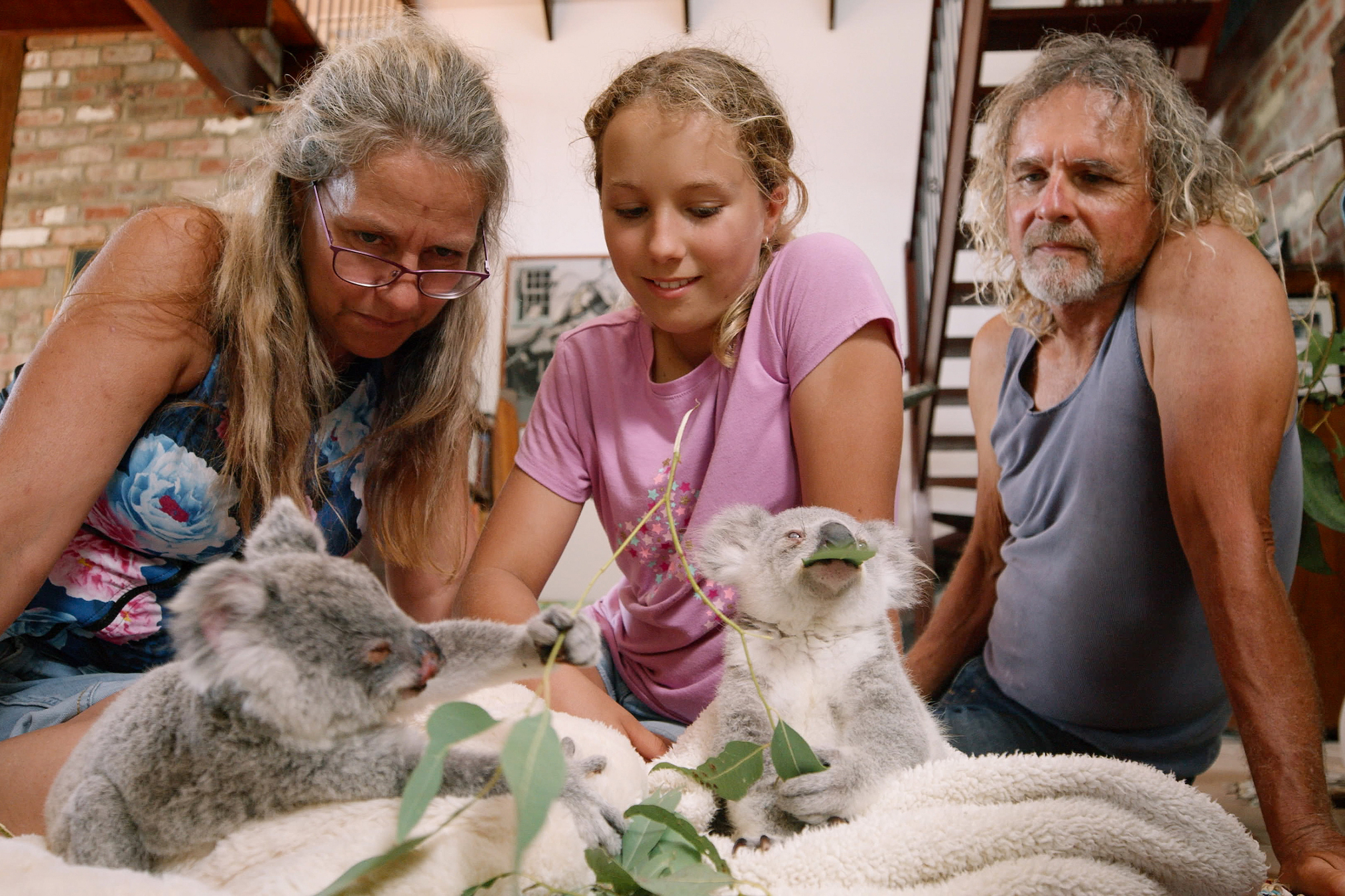Izzy Koala World Parents Koalas Netflix